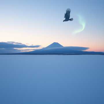 Above the Snow (1) cover