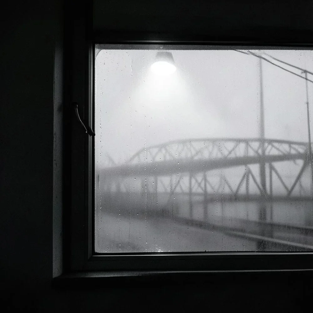 Bridge Count cover