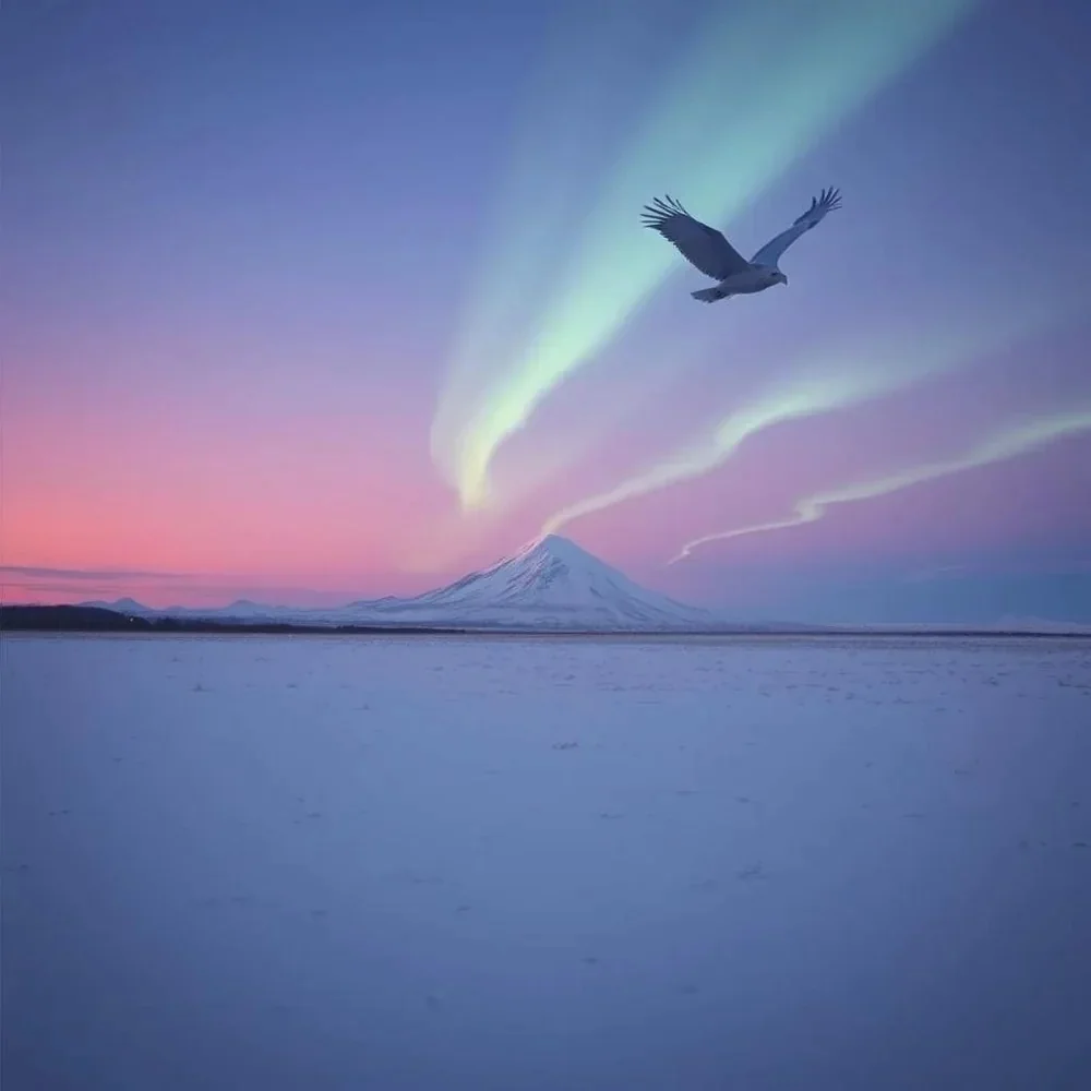 Skyline Echo - Above the Snow cover