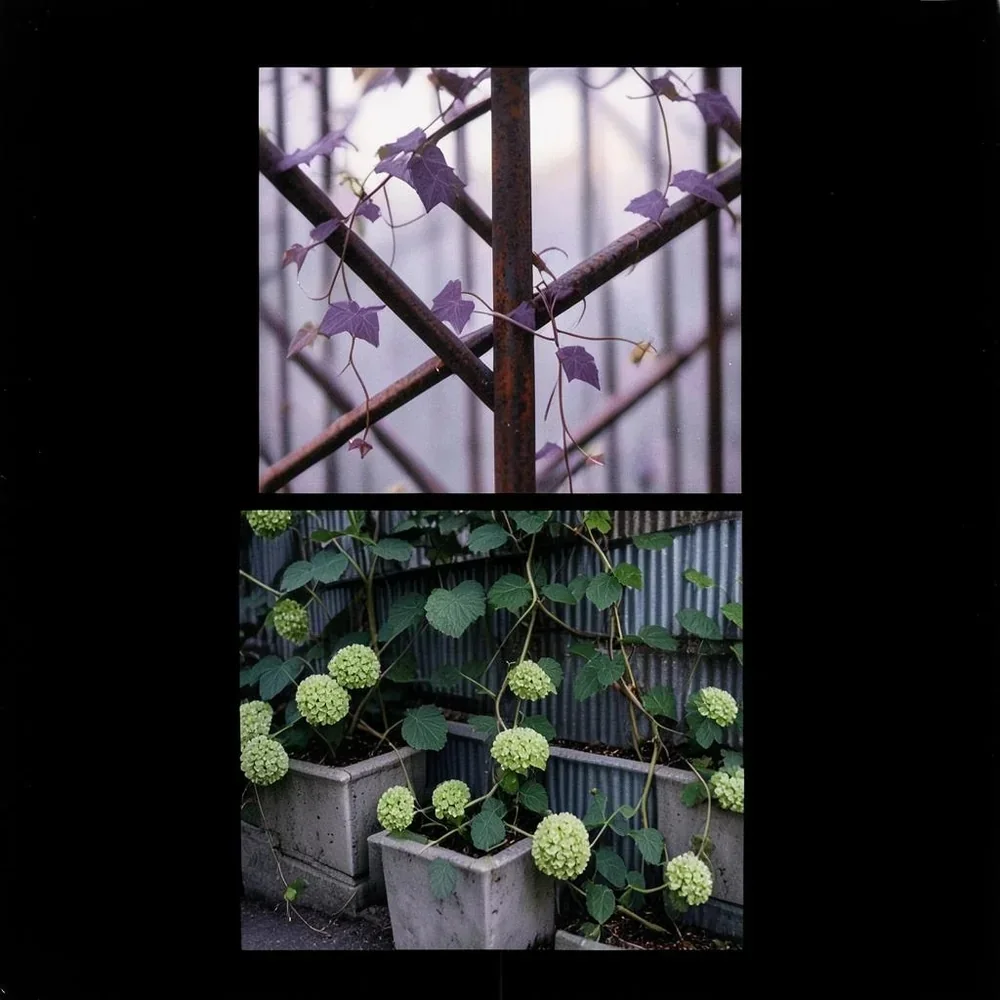 Iron Ivy Wraps Your cover