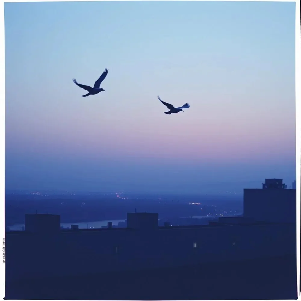 Same Sky Forever cover