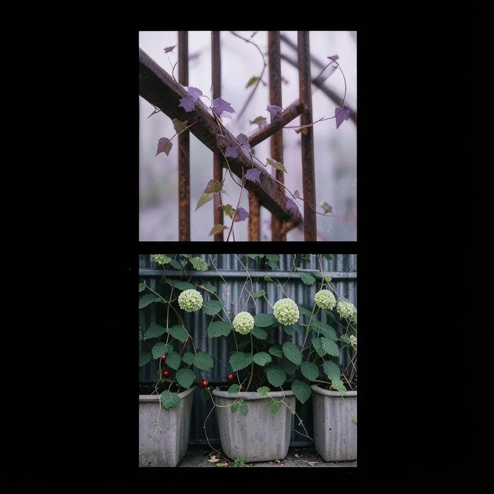 Iron Ivy Wraps Your cover
