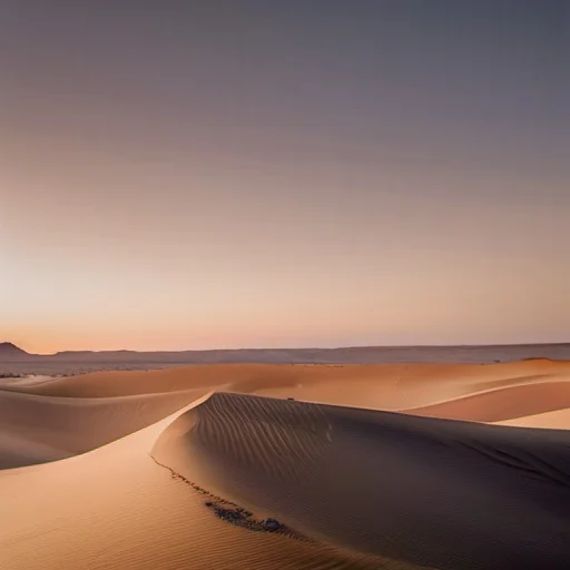 Desert Soul cover