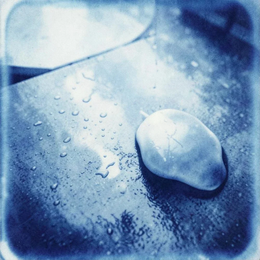 Midnight Sanctuary, In The Rain cover